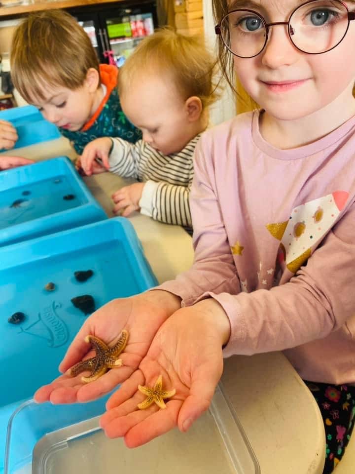 ROCKPOOL SCHOOL & PLAY