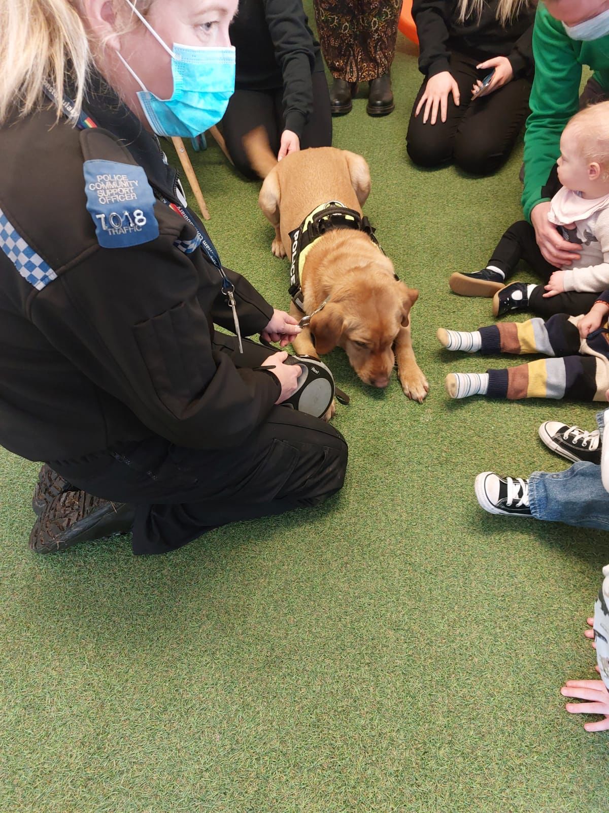 Jet and Ben the police dogs & play - Image 4