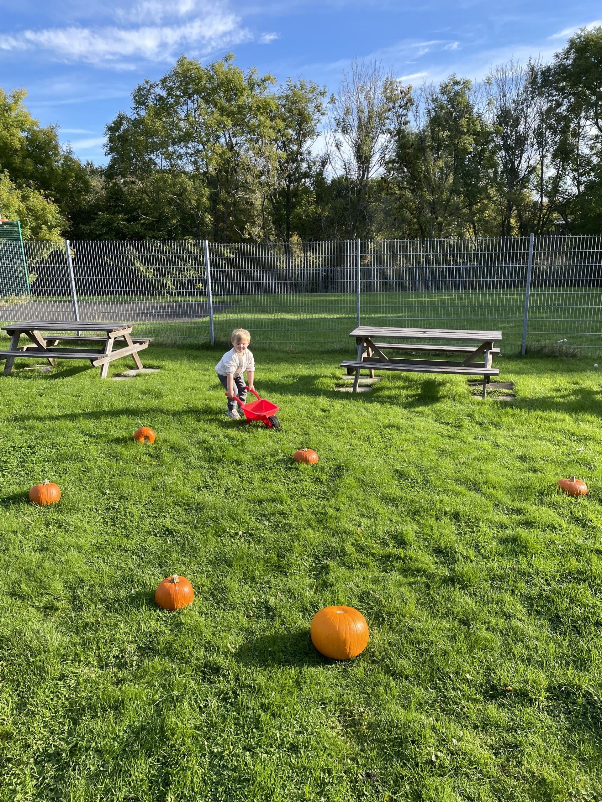 PUMPKIN PATCH AND PLAY - Image 7