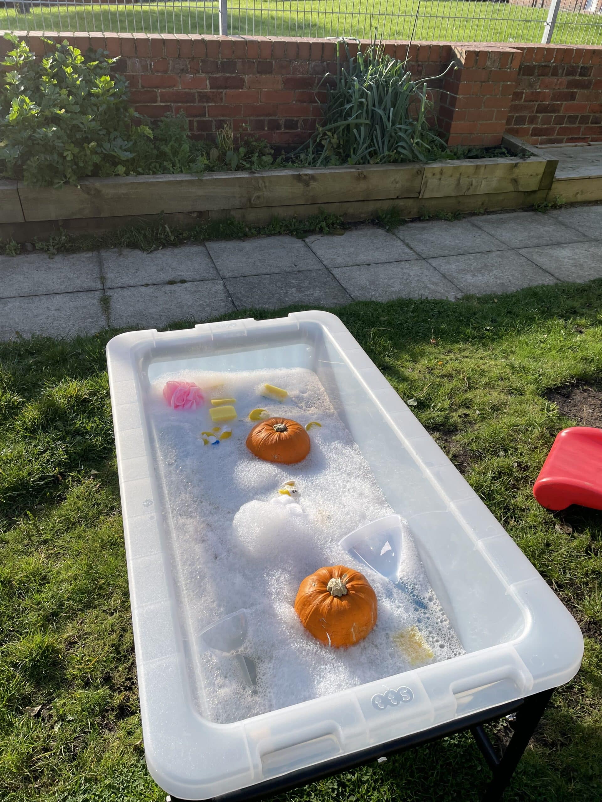 PUMPKIN PATCH AND PLAY - Image 8