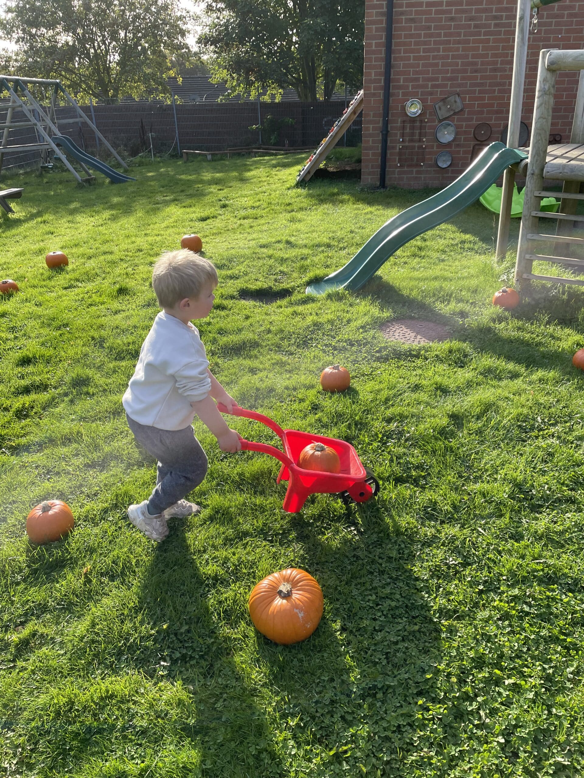 PUMPKIN PATCH AND PLAY - Image 9