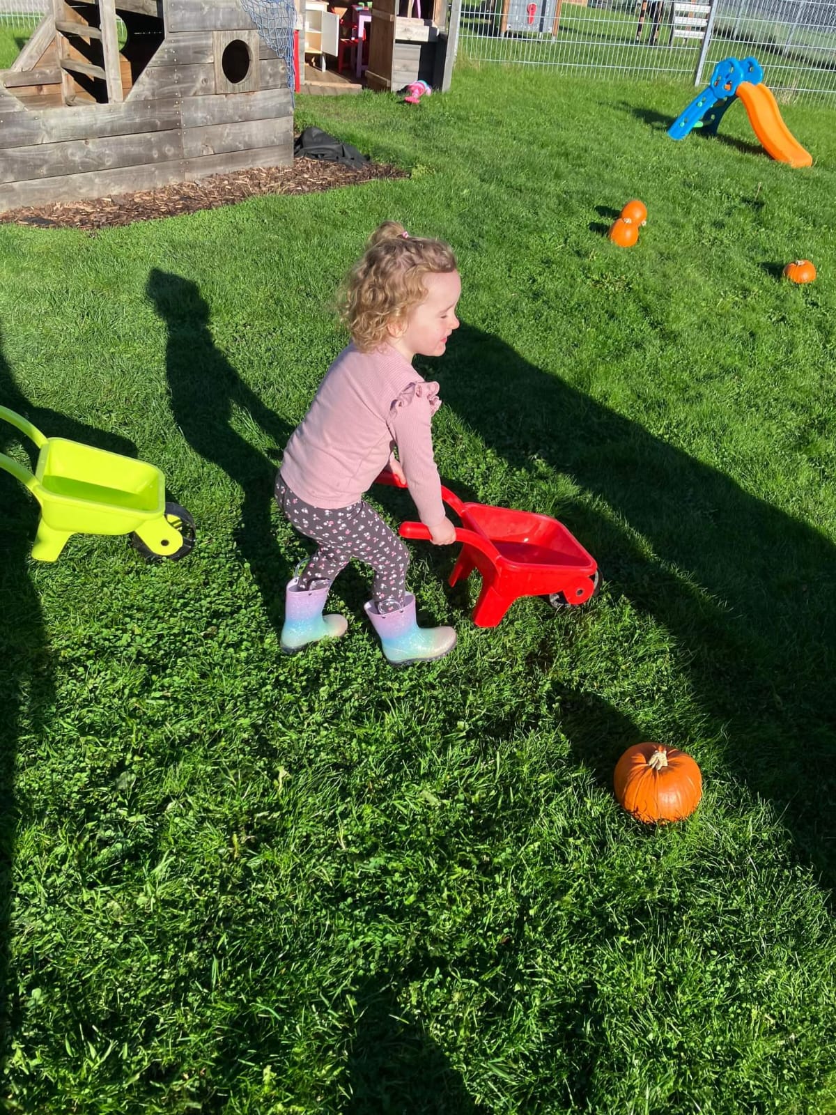 PUMPKIN PATCH AND PLAY - Image 6