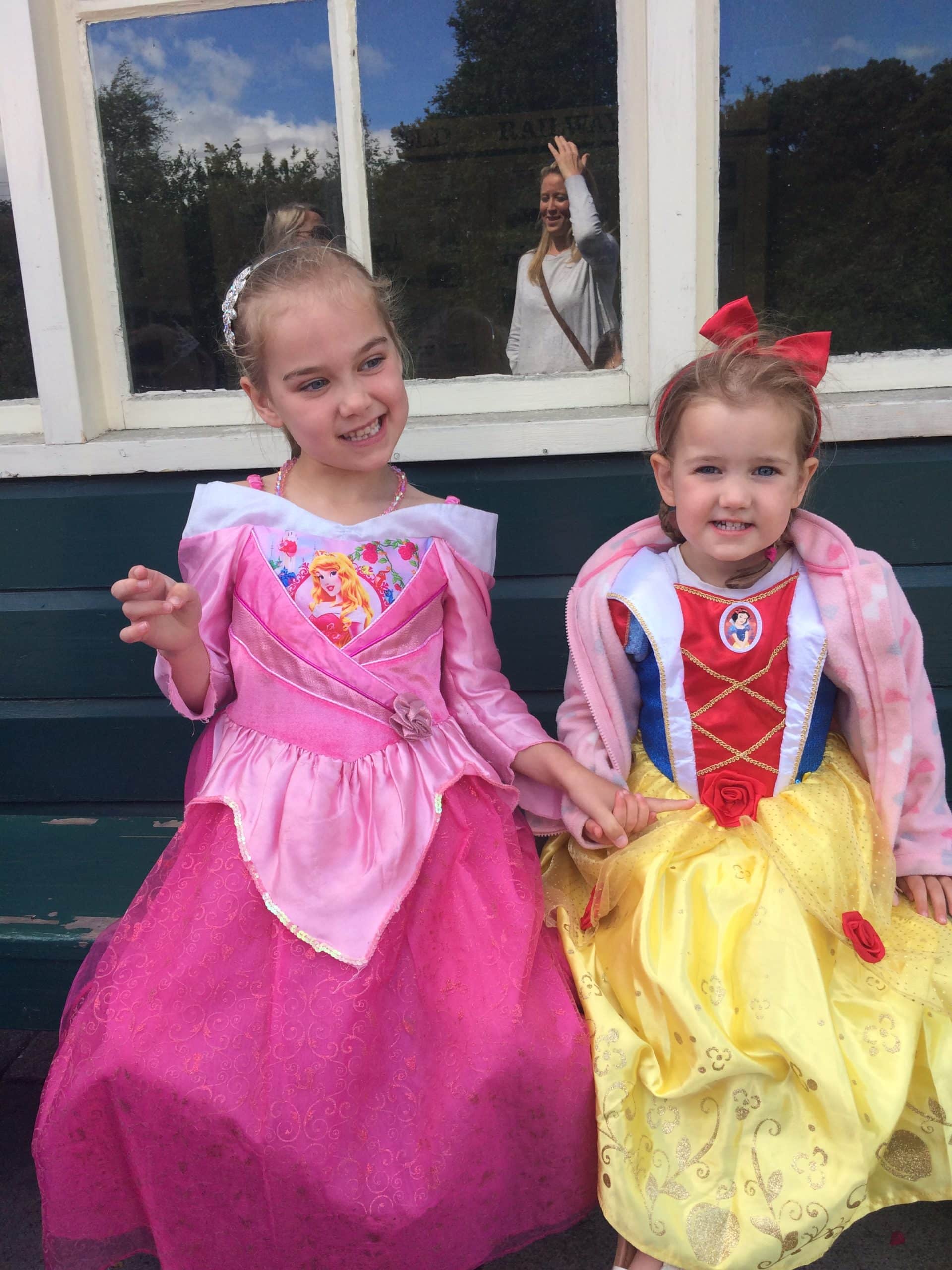 NEW BOOKING SYSTEM - https://bookwhen.com/dreambigltd